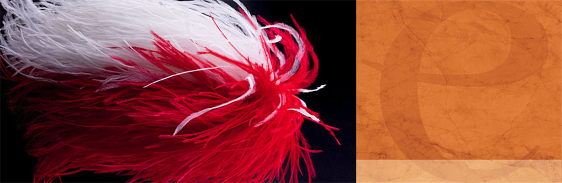 Veren-Pluimen Veren-Pluimen